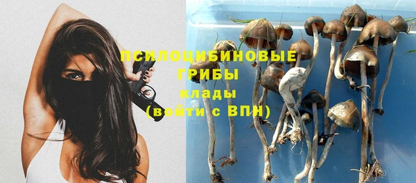 PSILOCYBIN Верхнеуральск