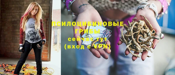 PSILOCYBIN Верхнеуральск