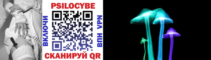 Псилоцибиновые грибы Cubensis где можно купить наркотик Нурлат